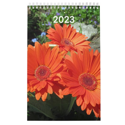 2023 Flower Photo Calendar Kalender (Hoes)