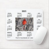 2023 Fotokalender in kardinaal formaat, gemaakt do Muismat (Met muis)