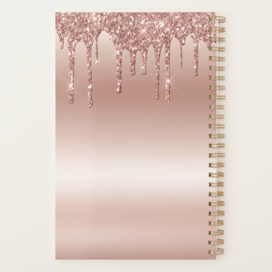 2023 Gedetailleerde Roos Gold-gepersonaliseerde na Planner (Achterkant)