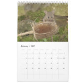 2023 George de muis in een nieuw stapel Kalender (Feb 2027)