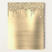 2023 Gouden Glitter Moderne Monogram Planner (Achterkant)