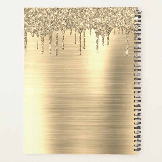 2023 Gouden Glitter Moderne Monogram Planner (Achterkant)