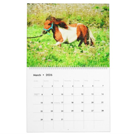 2023 Hardy Shetland Ponies Waterverf schilderkunst Kalender (Mar 2026)