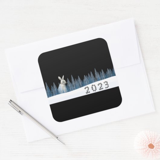 2023, het jaar van de konijn, het Chinese nieuwjaa Vierkante Sticker (Envelop)