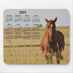 2023 Horse Calendar van Janz Muismat