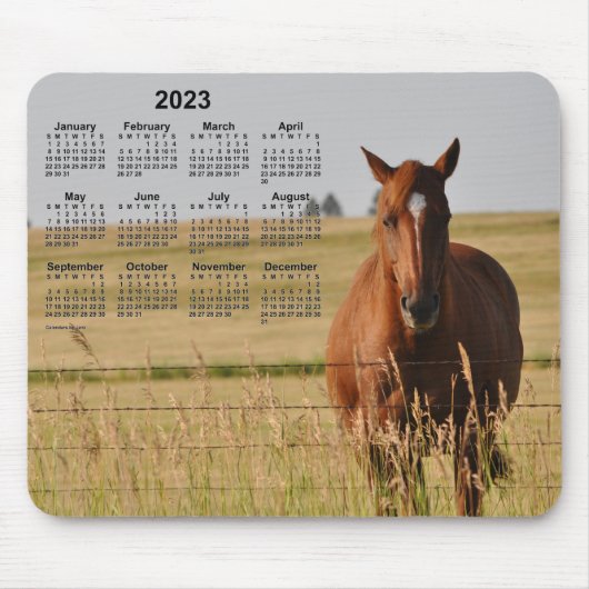 2023 Horse Calendar van Janz Muismat (Voorkant)