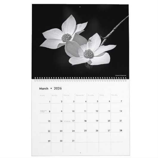 2023 Jaarlijkse Natuur Fotografie Agenda Kalender (Mar 2026)