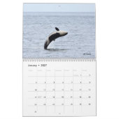 2023 Kalender voor de walvis van de Zuidelijke Ing (Jan 2027)