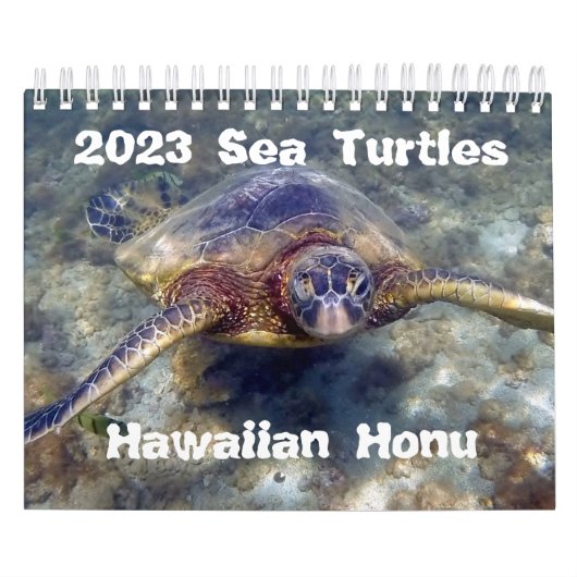 2023 Kalender voor groene Zeeen van Hawaiian Honu (Hoes)