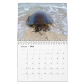 2023 Kalender voor groene Zeeen van Hawaiian Honu (Jan 2026)