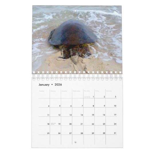 2023 Kalender voor groene Zeeen van Hawaiian Honu (Jan 2026)
