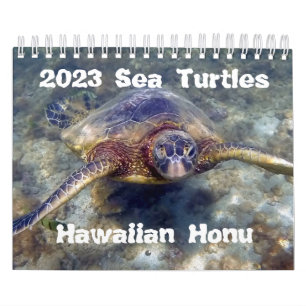 2023 Kalender voor groene Zeeen van Hawaiian Honu