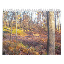 2023 Kalender voor naturen