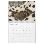 2023 Kalendergebieden van Gordon Wildlife Kalender (Feb 2027)