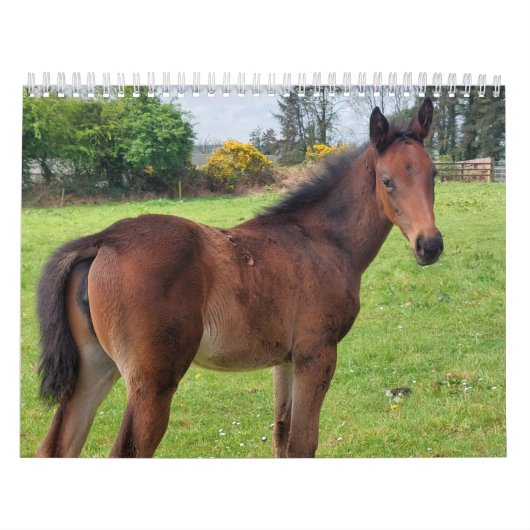 2023 Kalendermaaltijden Kalender (Hoes)