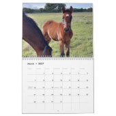 2023 Kalendermaaltijden Kalender (Mar 2027)