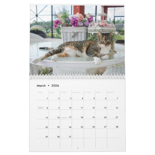 2023 Kat-kalender Kalender (Mar 2026)