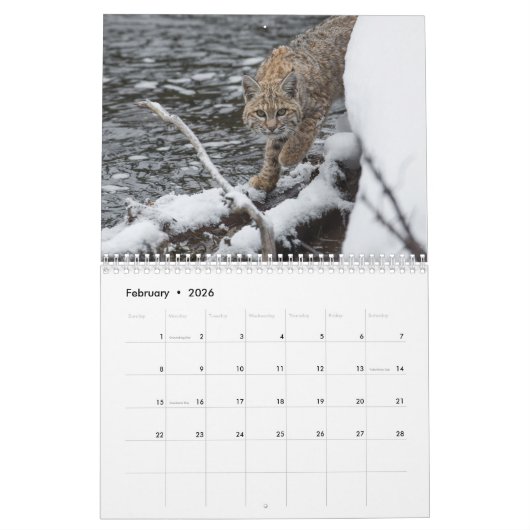 2023 Kat-kalender Kalender (Feb 2026)