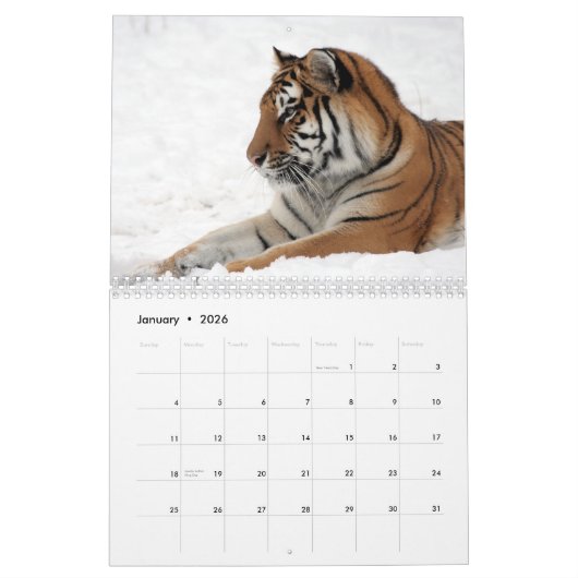 2023 Kat-kalender Kalender (Jan 2026)