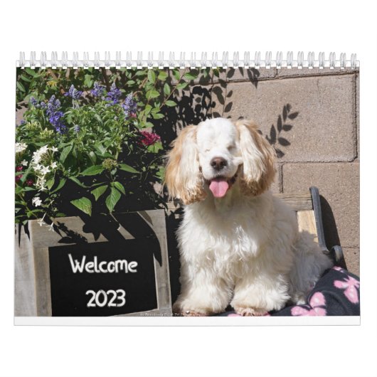 2023 Kute & Schattige Dog-agenda Kalender (Hoes)