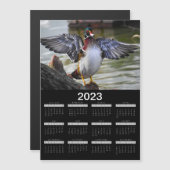 2023 Magnet Calendar Beauful Wood Duck (Voorkant / Achterkant)