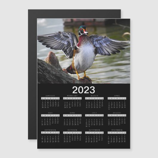 2023 Magnet Calendar Beauful Wood Duck (Voorkant / Achterkant)