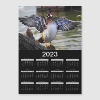 2023 Magnet Calendar Beauful Wood Duck