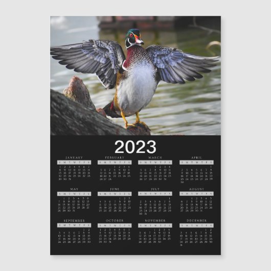 2023 Magnet Calendar Beauful Wood Duck (Voorkant)