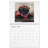 2023 Mastador Puppy Calendar Kalender (Feb 2027)