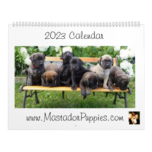 2023 Mastador Puppy Calendar Kalender (Hoes)