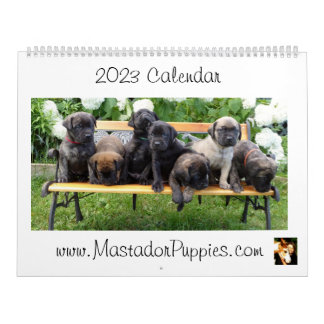 2023 Mastador Puppy Calendar Kalender
