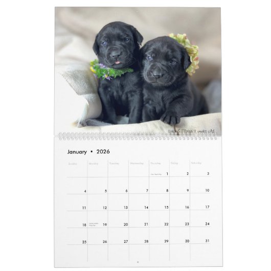 2023 Mastador Puppy Calendar Kalender (Jan 2026)