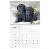 2023 Mastador Puppy Calendar Kalender (Jan 2027)