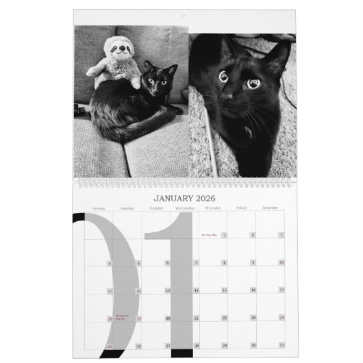 2023 Moderne Kat-agenda Kalender (Jan 2026)