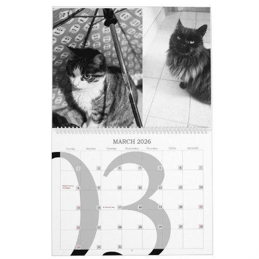 2023 Moderne Kat-agenda Kalender (Mar 2026)