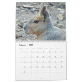 2023 Natuur van dieren Kalender (Feb 2027)