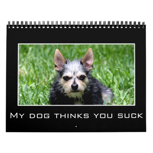 2023 Ontmoediging en demotiverende Humor Kalender (Hoes)