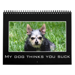 2023 Ontmoediging en demotiverende Humor Kalender