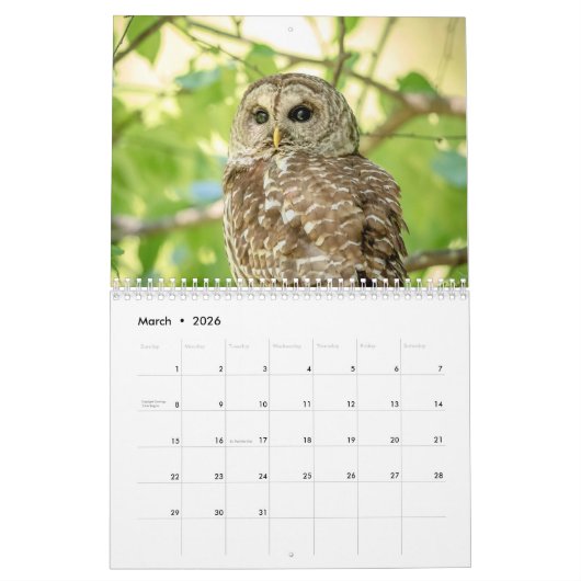 2023 Owl Kalender (Mar 2026)