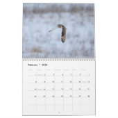 2023 Owl Kalender (Feb 2026)