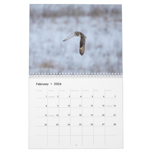 2023 Owl Kalender (Feb 2026)