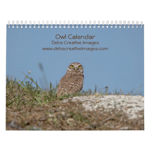 2023 Owl Kalender (Hoes)