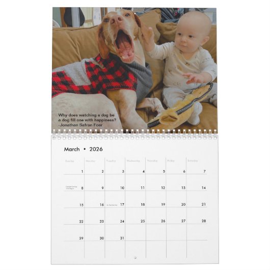 2023 Pointers & Pals Calendar PointerRescue Org Kalender (Mar 2026)