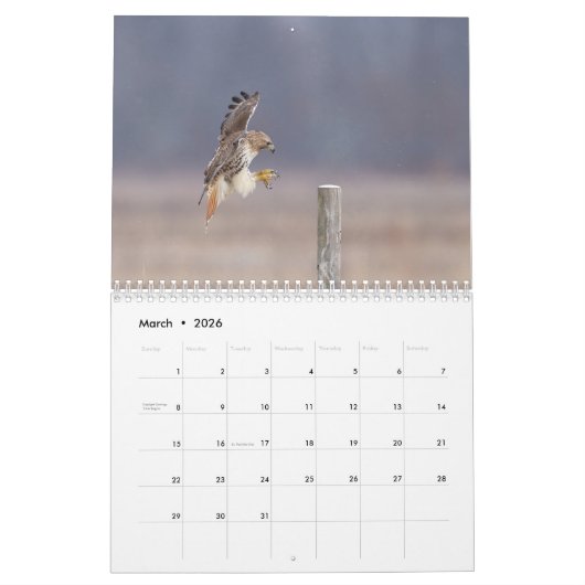 2023 Red-Tailed Hawk in de Hudson-vallei Kalender (Mar 2026)