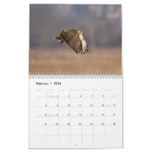 2023 Red-Tailed Hawk in de Hudson-vallei Kalender (Feb 2026)