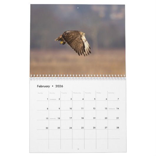 2023 Red-Tailed Hawk in de Hudson-vallei Kalender (Feb 2026)