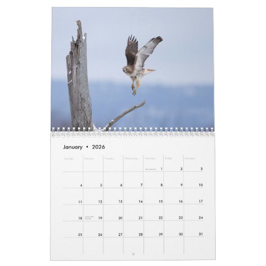 2023 Red-Tailed Hawk in de Hudson-vallei Kalender (Jan 2026)