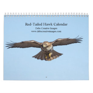 2023 Red-Tailed Hawk in de Hudson-vallei Kalender