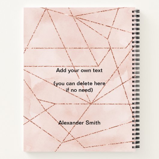 2023 Roos Gold Modern reeks 12 Fotokalender Notitieboek (Achterkant)