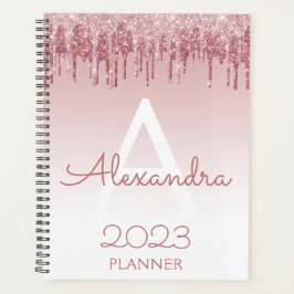 2023 Roze Goud Blozen Roze Glitters Schitterend Mo Planner